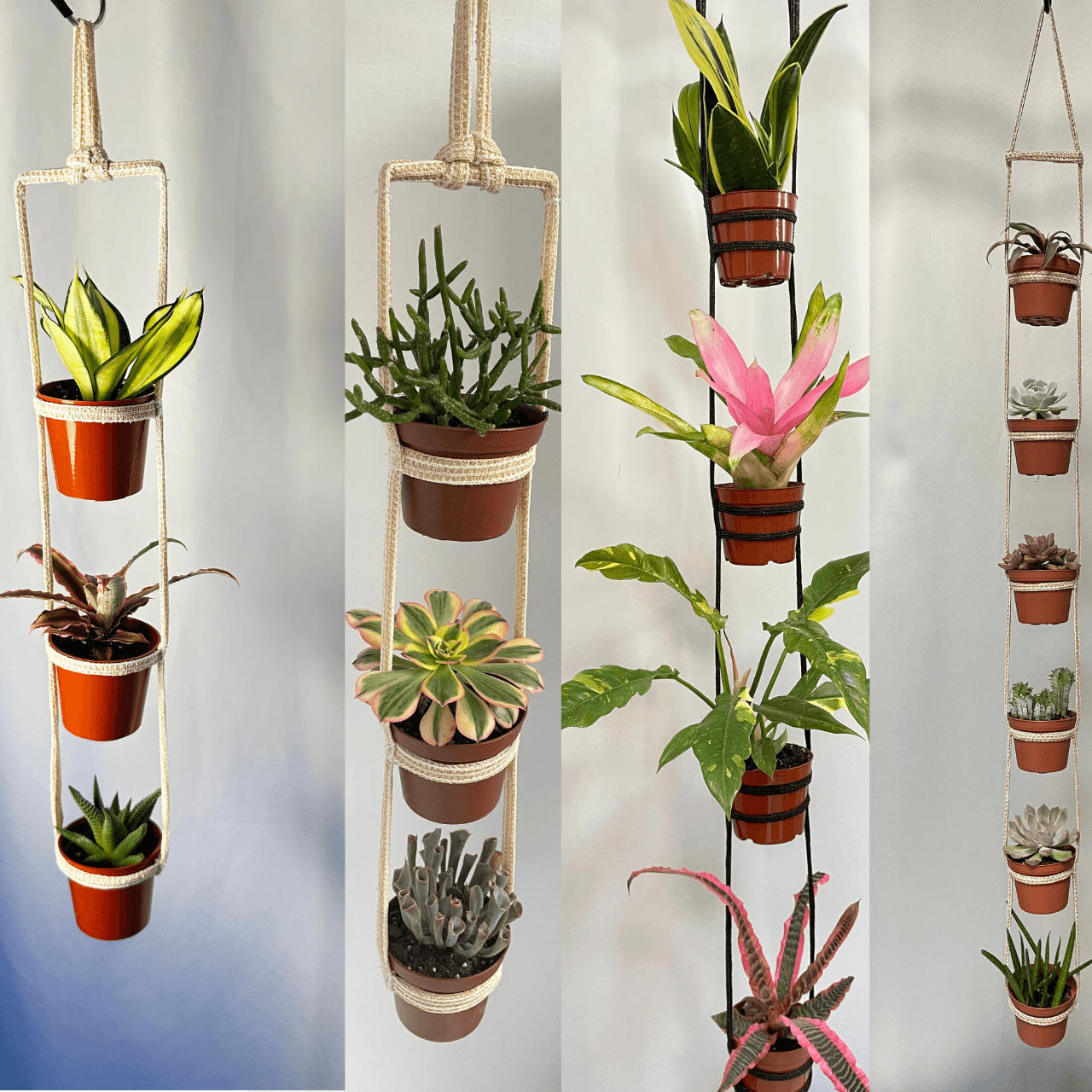 Untitled (1600 x 500 px) (512 x 512 px) (1280 x 1280 px) (1)