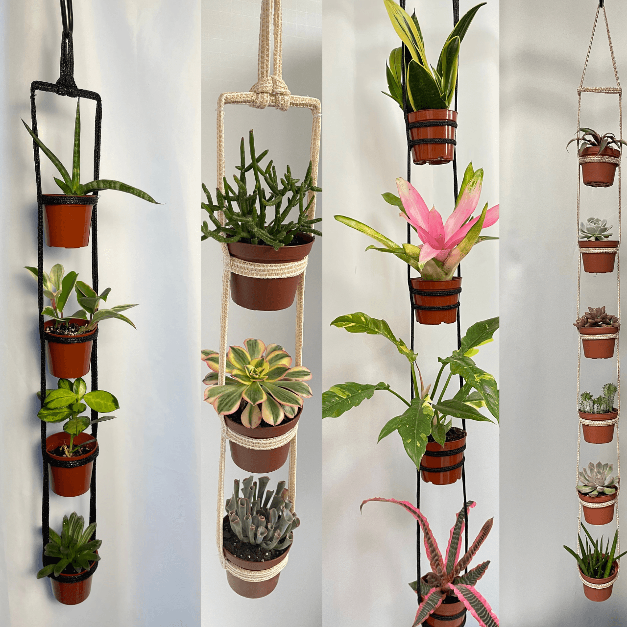 Untitled (1600 x 500 px) (512 x 512 px) (1280 x 1280 px) (2)