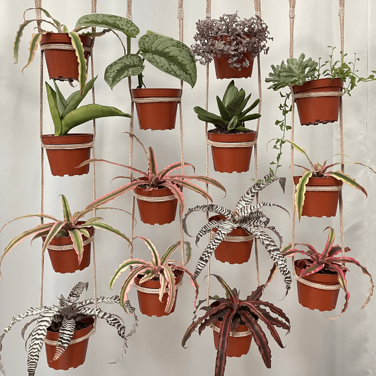 Untitled (1600 x 500 px) (512 x 512 px) (1280 x 1280 px) (4)