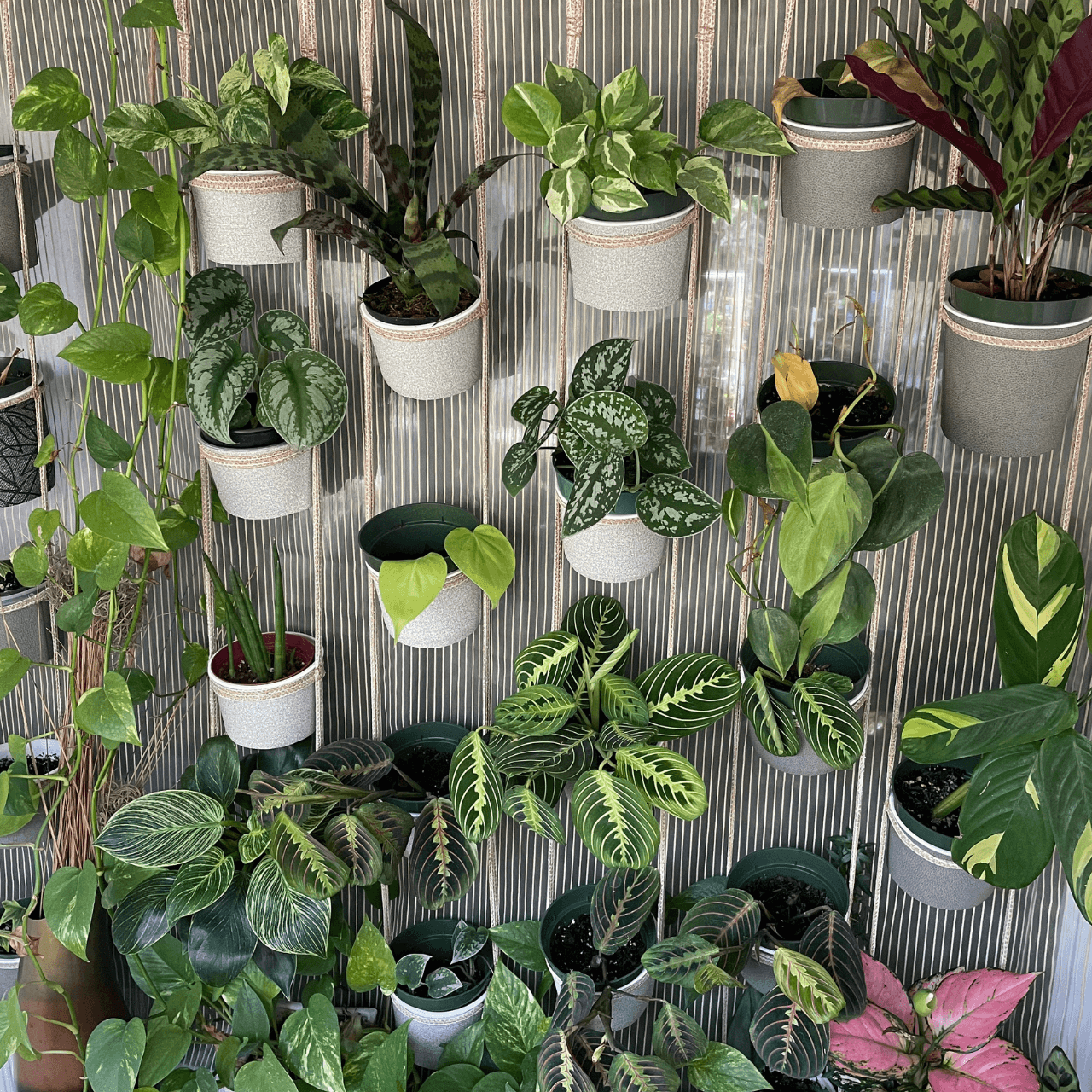 Untitled (1600 x 500 px) (512 x 512 px) (1280 x 1280 px) (5)