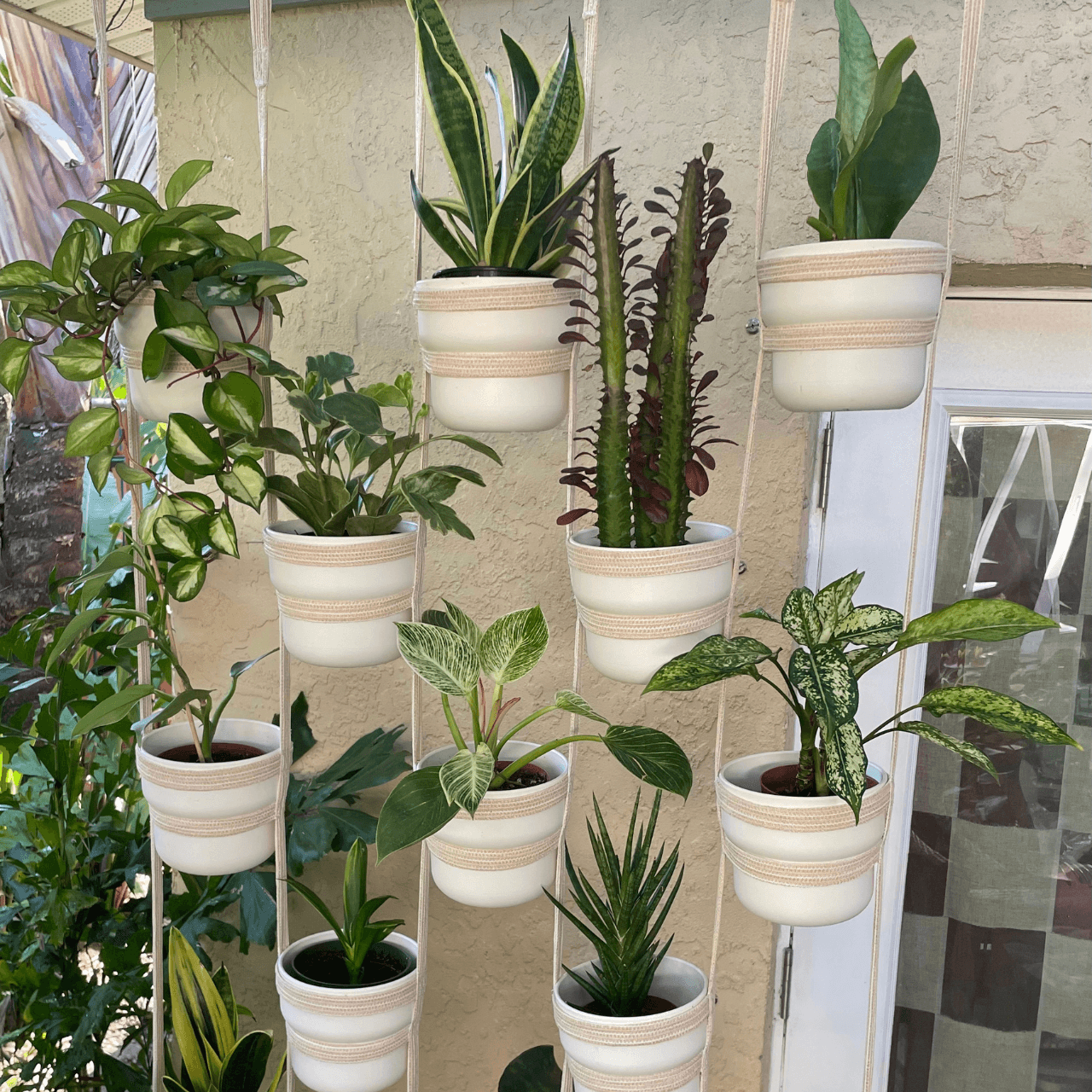 Untitled (1600 x 500 px) (512 x 512 px) (1280 x 1280 px) (7)