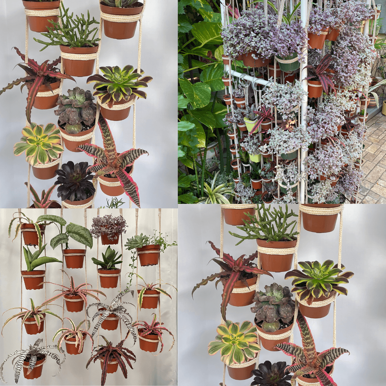 Untitled (1600 x 500 px) (512 x 512 px) (1280 x 1280 px)